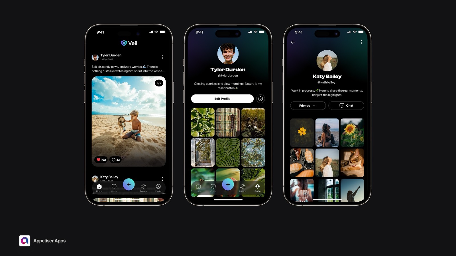 Veil encrypted chat interface